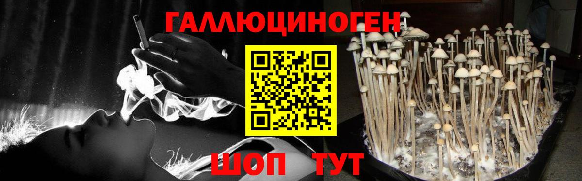 Галлюциногенные грибы GOLDEN TEACHER Татарск