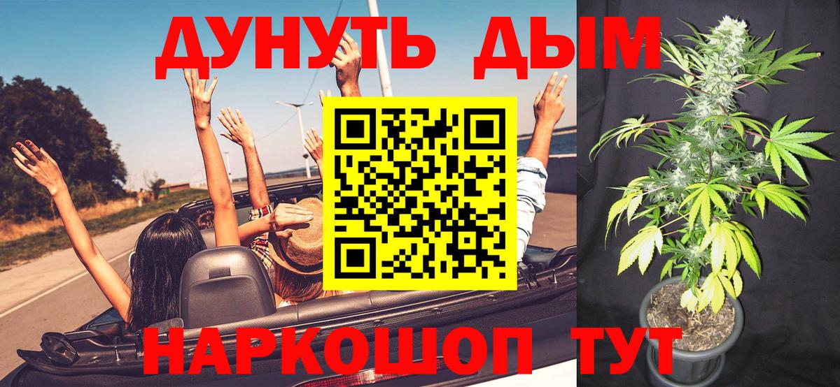 Бошки Шишки MAZAR  Шишки марихуана MAZAR  Татарск  МАРИХУАНА планчик  Вход с VPN 